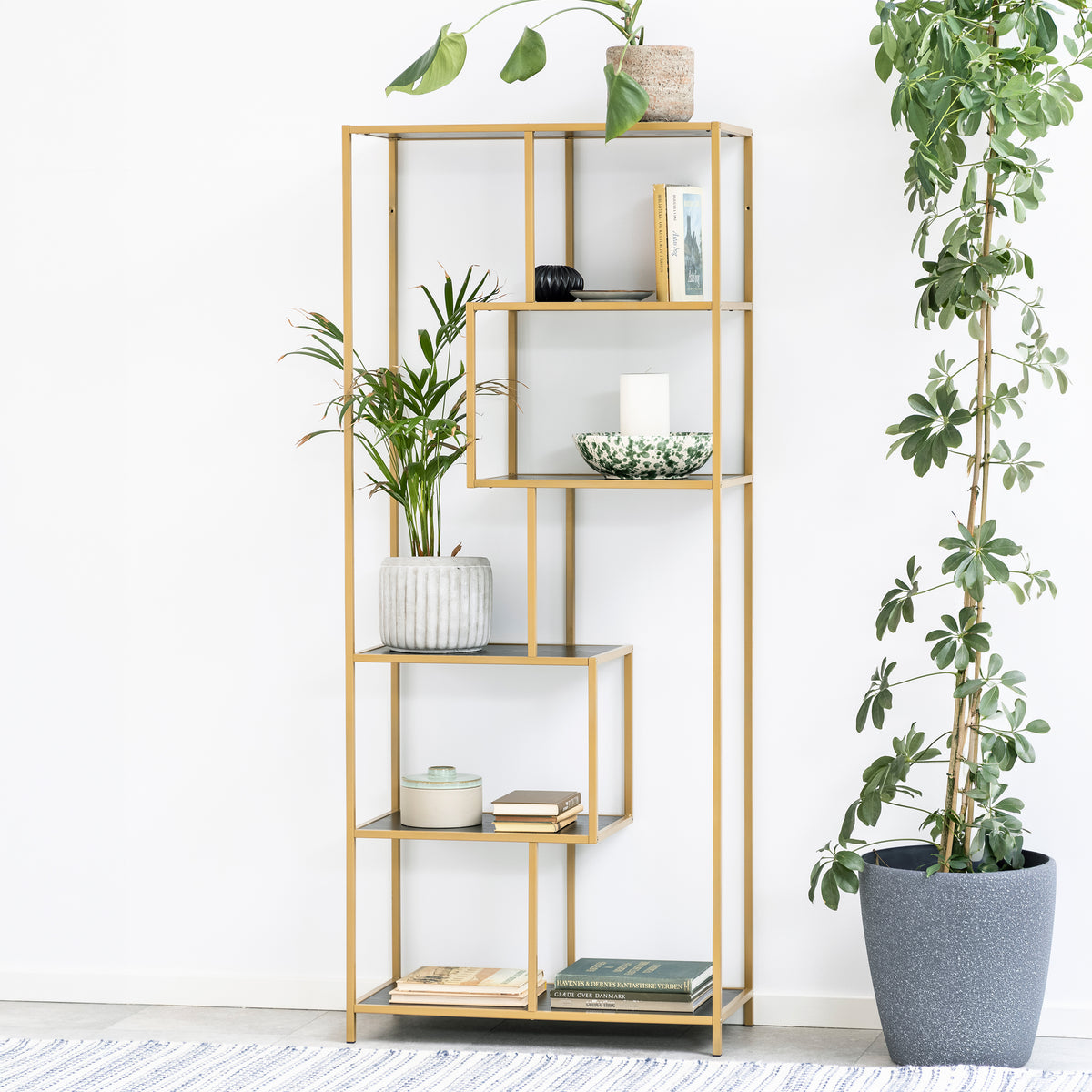 Skeleto-reol 77x185 i sort melamin (guldramme) ved en hvid væg omgivet af planter i krukker – en glamourøs reol